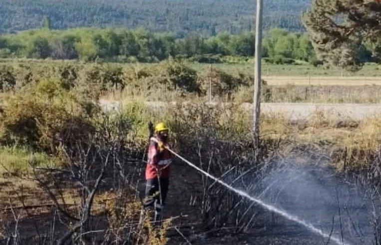 incendio cholila 2026 2