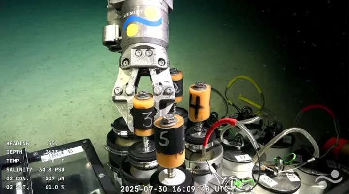 WhatsApp Image 2025-08-05 at 16.27.09 (1)