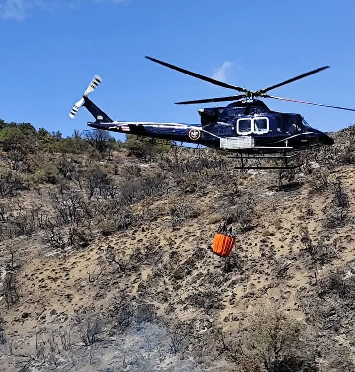 WhatsApp Image 2026-02-05 at 06.25.41