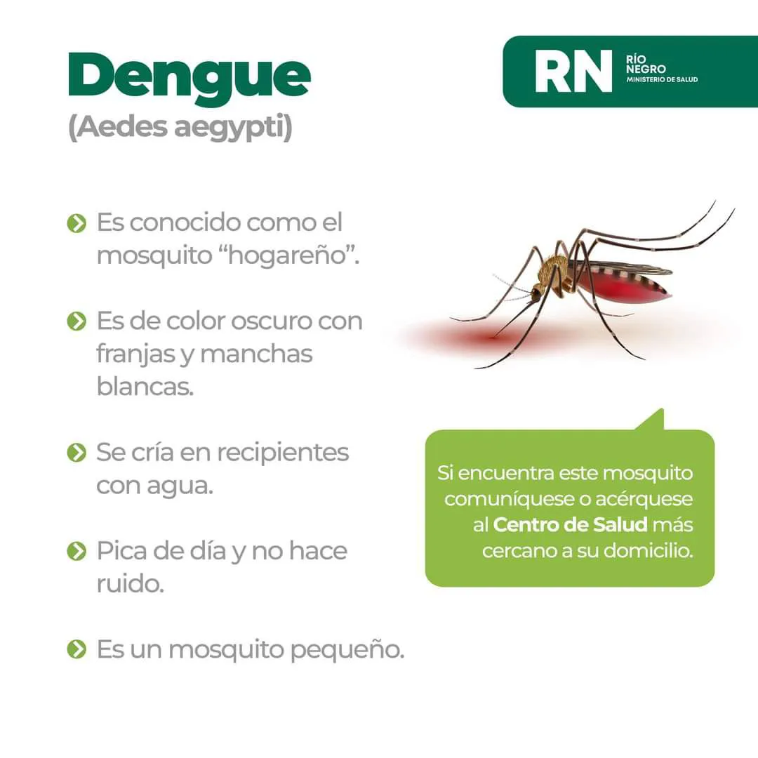 dengue 4