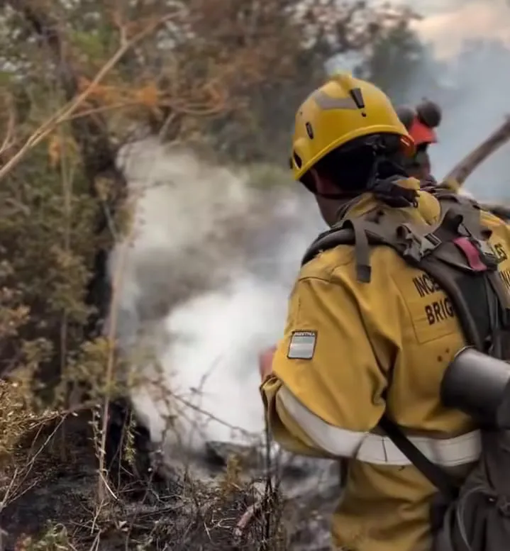 195c0945-0542-4476-a106-a5ffabcccfba