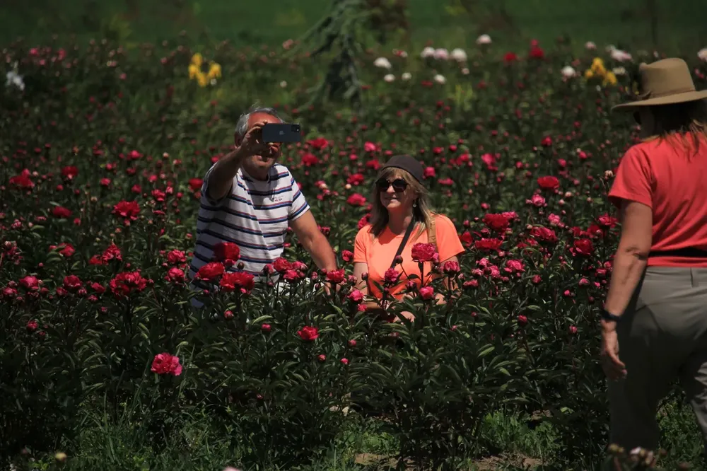 chubut finde largo 1