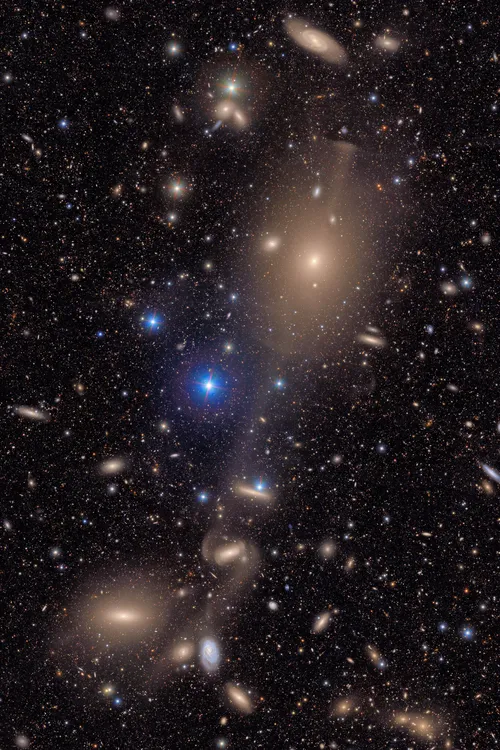 23HS-rubin-firstlook-04-bvfq-superJumbo