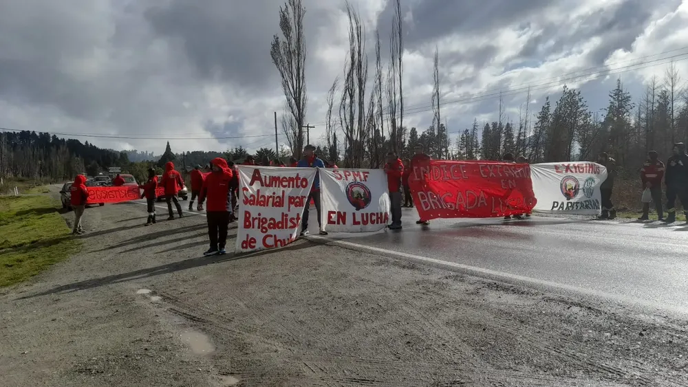 brigadistas chubut 2