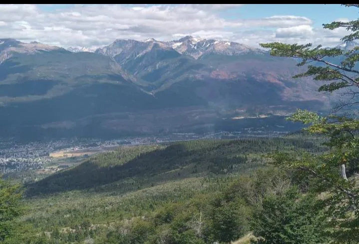 Screenshot_2026-01-11-13-22-21-045