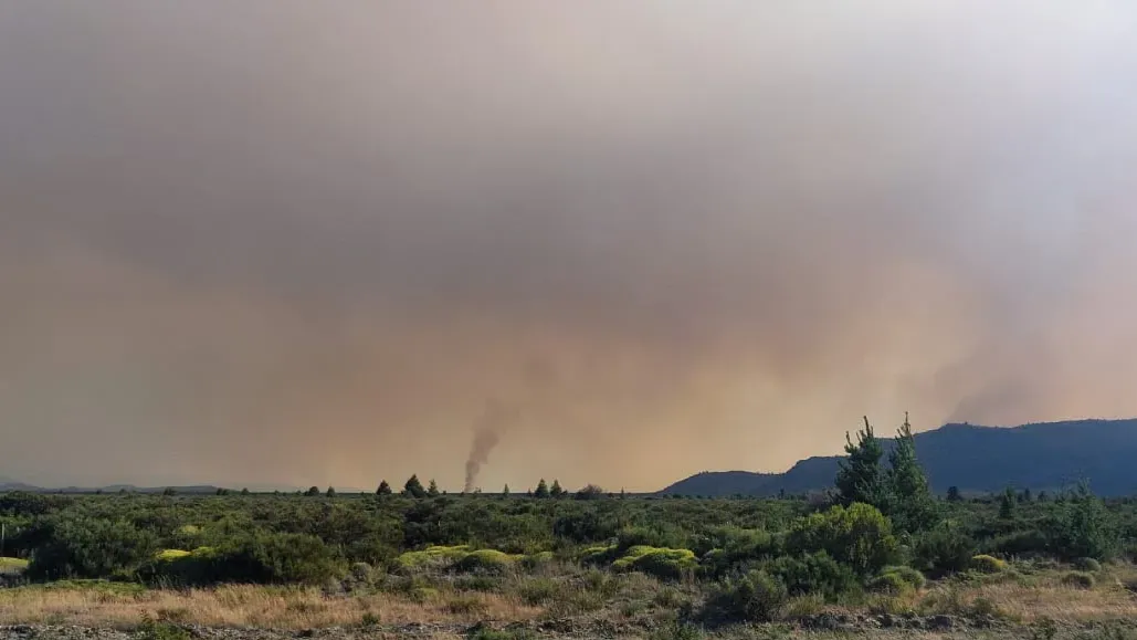 WhatsApp Image 2026-01-27 at 17.35