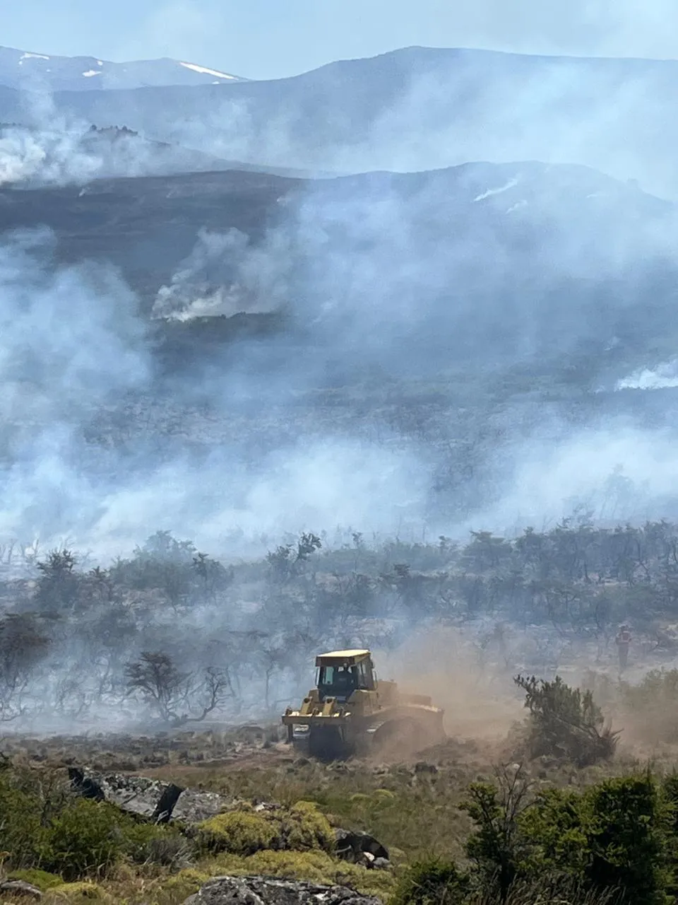 incendio pedreg 7