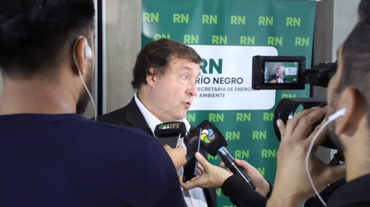 weretilneck mayo 2024