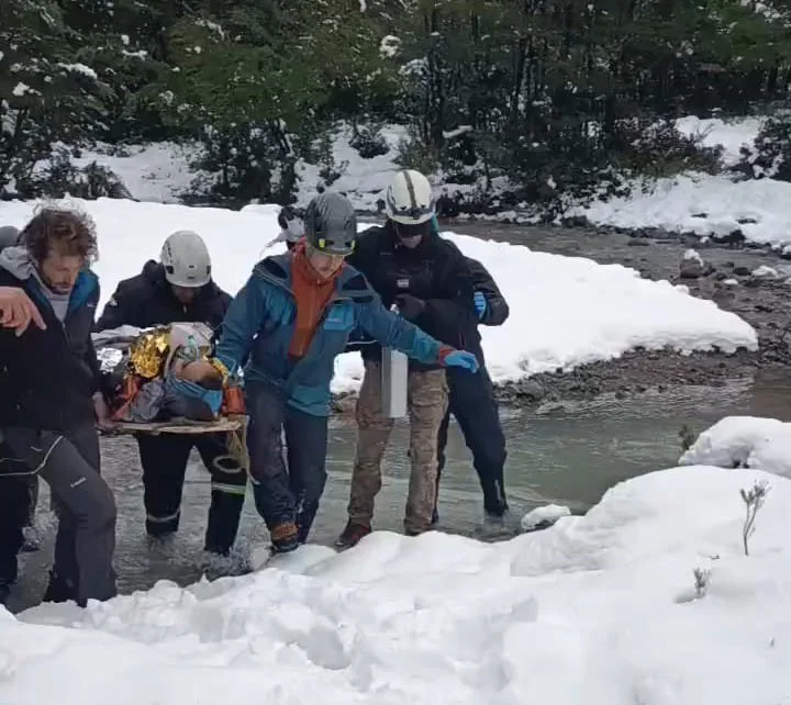 77bc961e-1ef9-47cf-94b7-c1e438d3e090