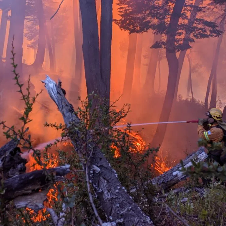 incendio los alerces 29