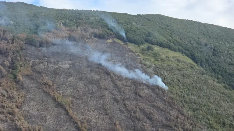 incendio los manzanos 118