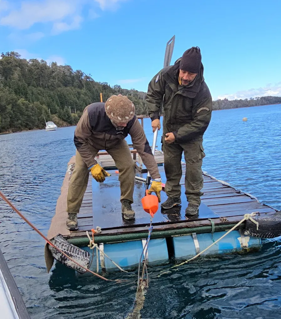 boyas nahuel huapi 3