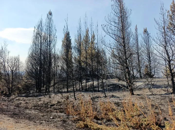 Screenshot_2026-01-10-14-04-46-029