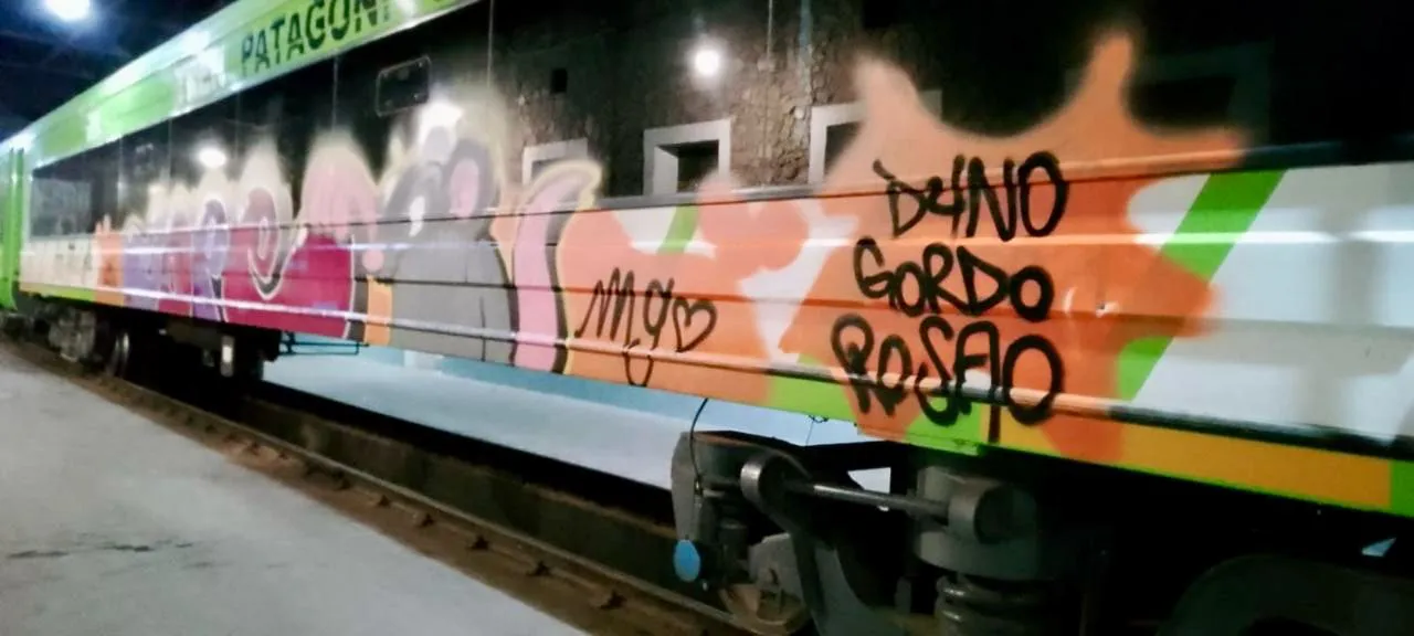 tren patagonico vandalizado 2