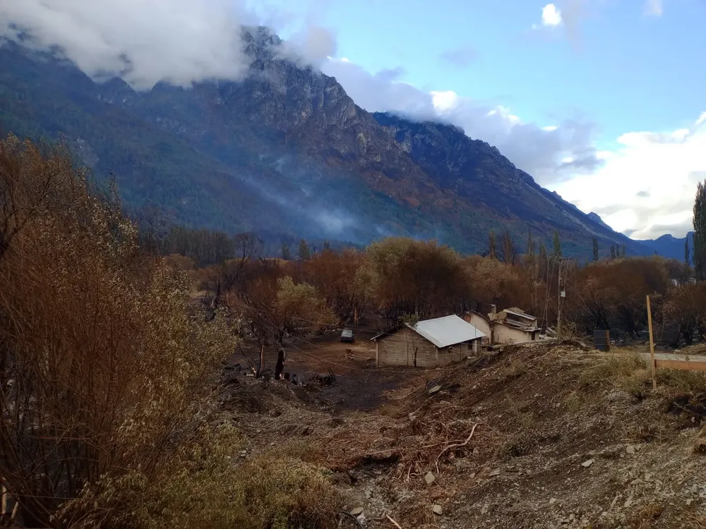 WhatsApp Image 2026-01-11 at 20.13.26