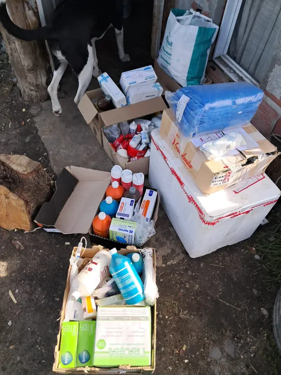 WhatsApp Image 2026-03-30 at 09.39.43