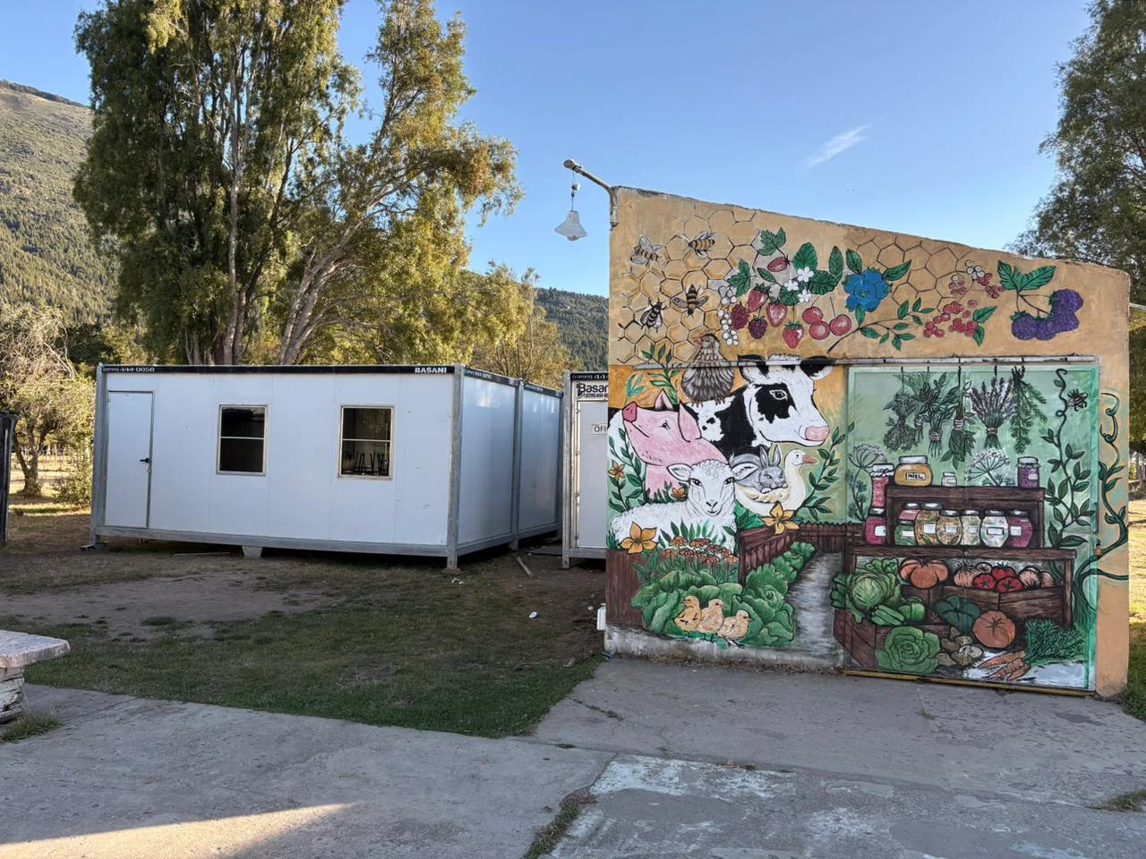 WhatsApp Image 2026-02-27 at 13.25.03