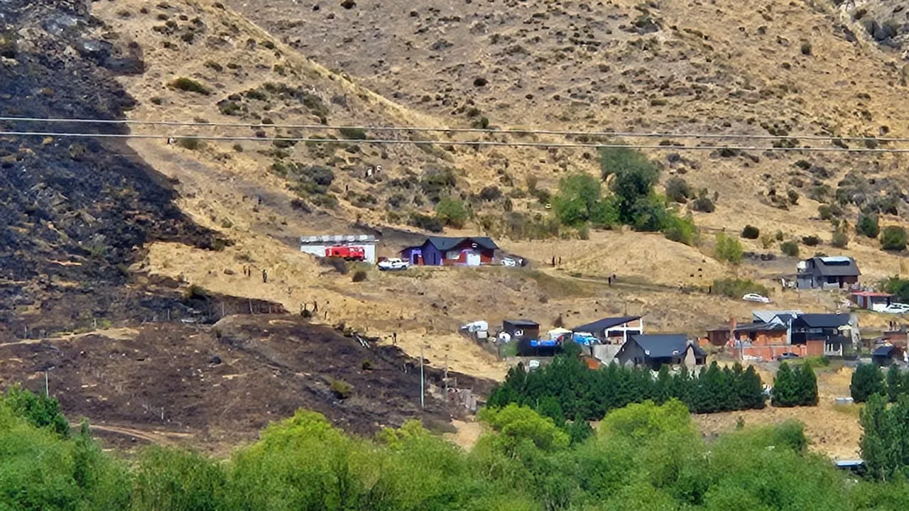 WhatsApp Image 2026-02-05 at 15.43.54 (1)