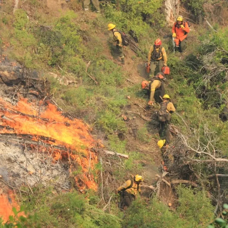 622428906_1335892625243903_8519373124941547452_n