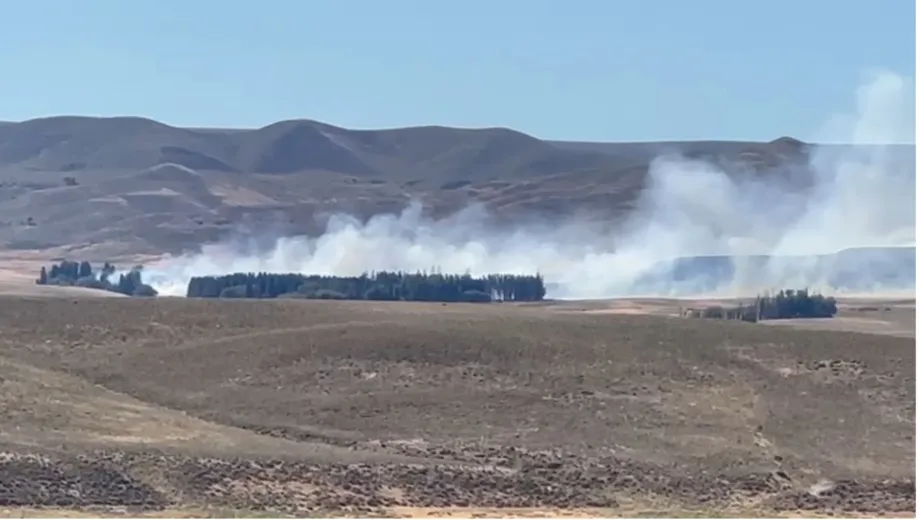incendio junin de los andes