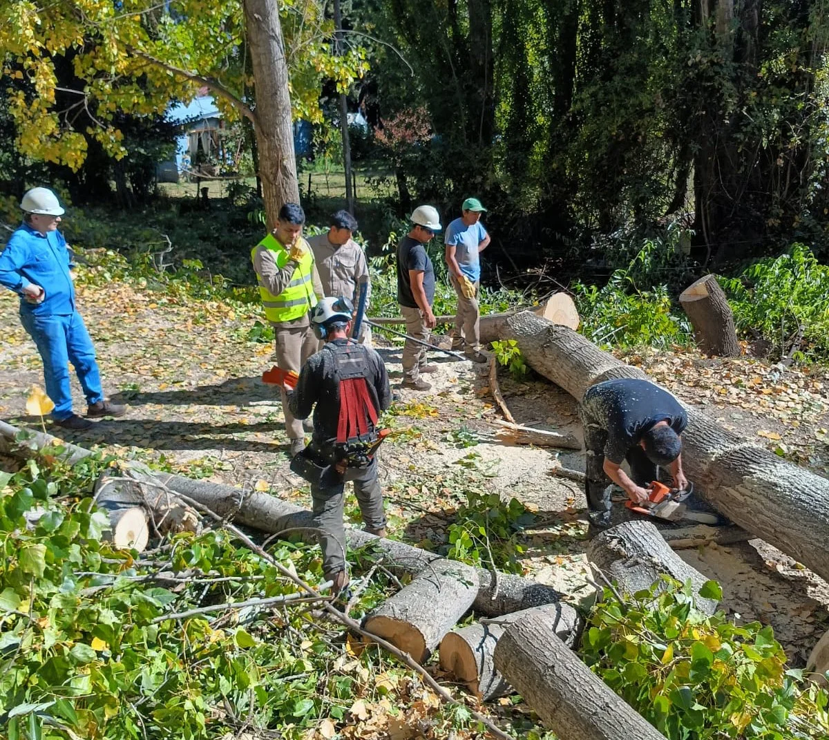 f8409a77-0e66-4fe9-91fd-754e08c51f11