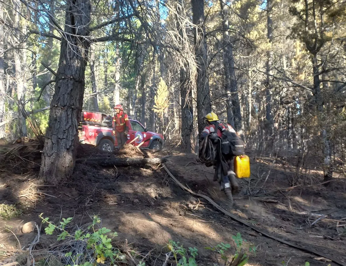 incendio pedregoso 6