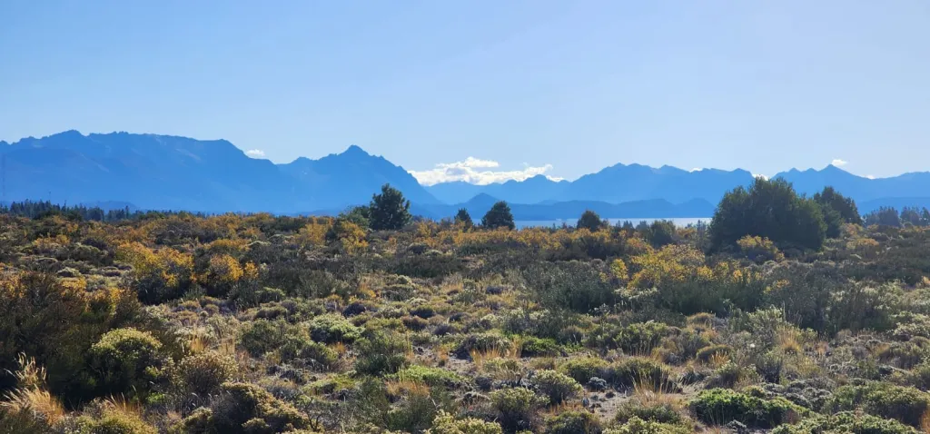 terrazas del este