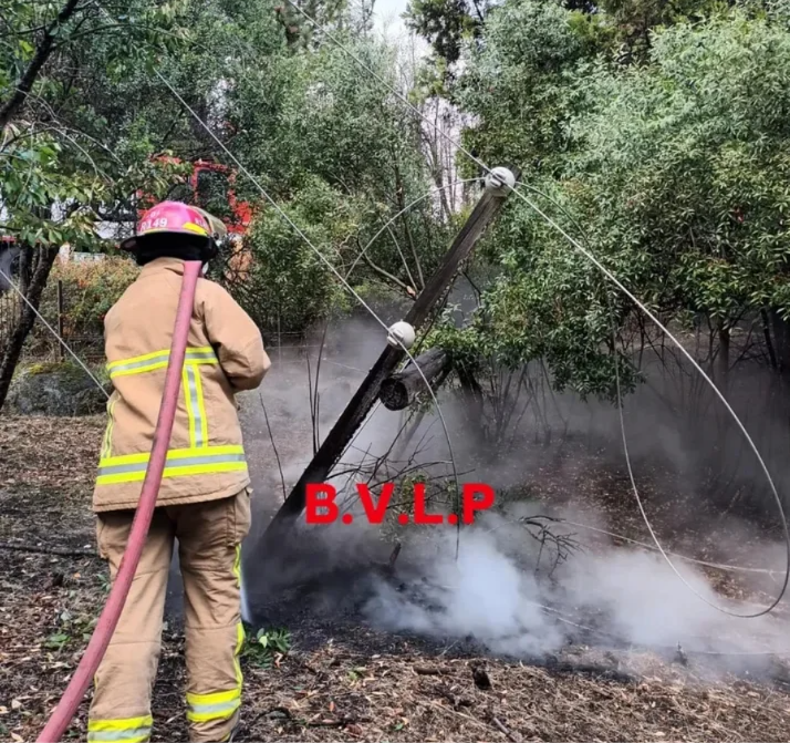 Screenshot_2026-03-15-12-05-29-914