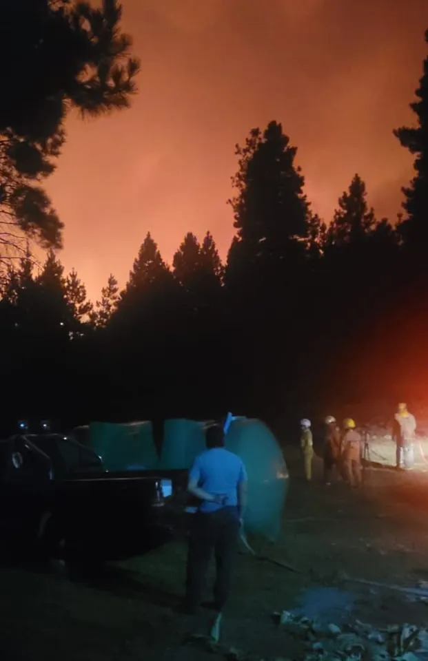 incendio pedreg 4