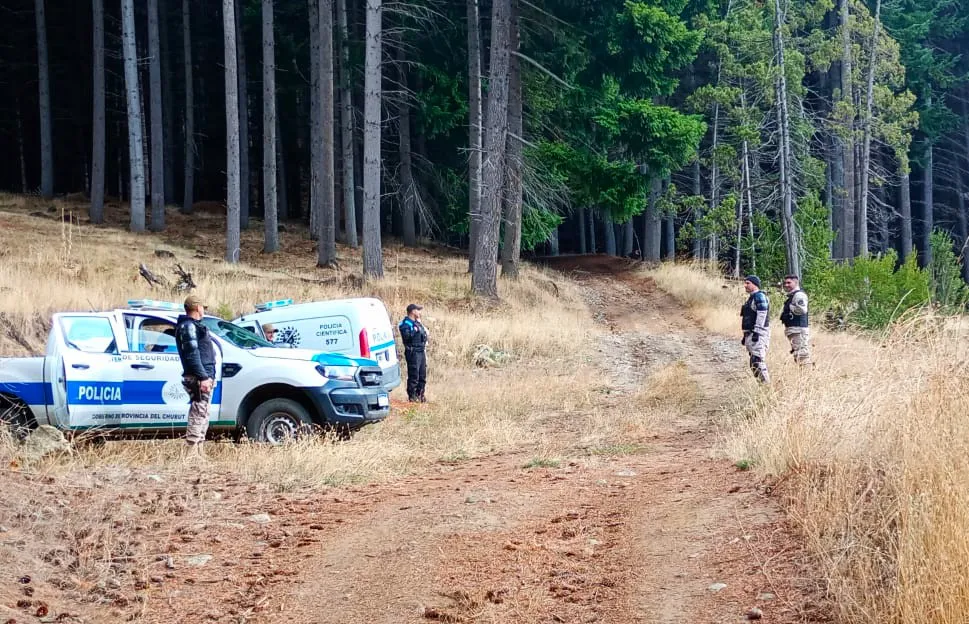 Imagen de WhatsApp 2025-04-11 a las 10.59.45_1a0c41aa