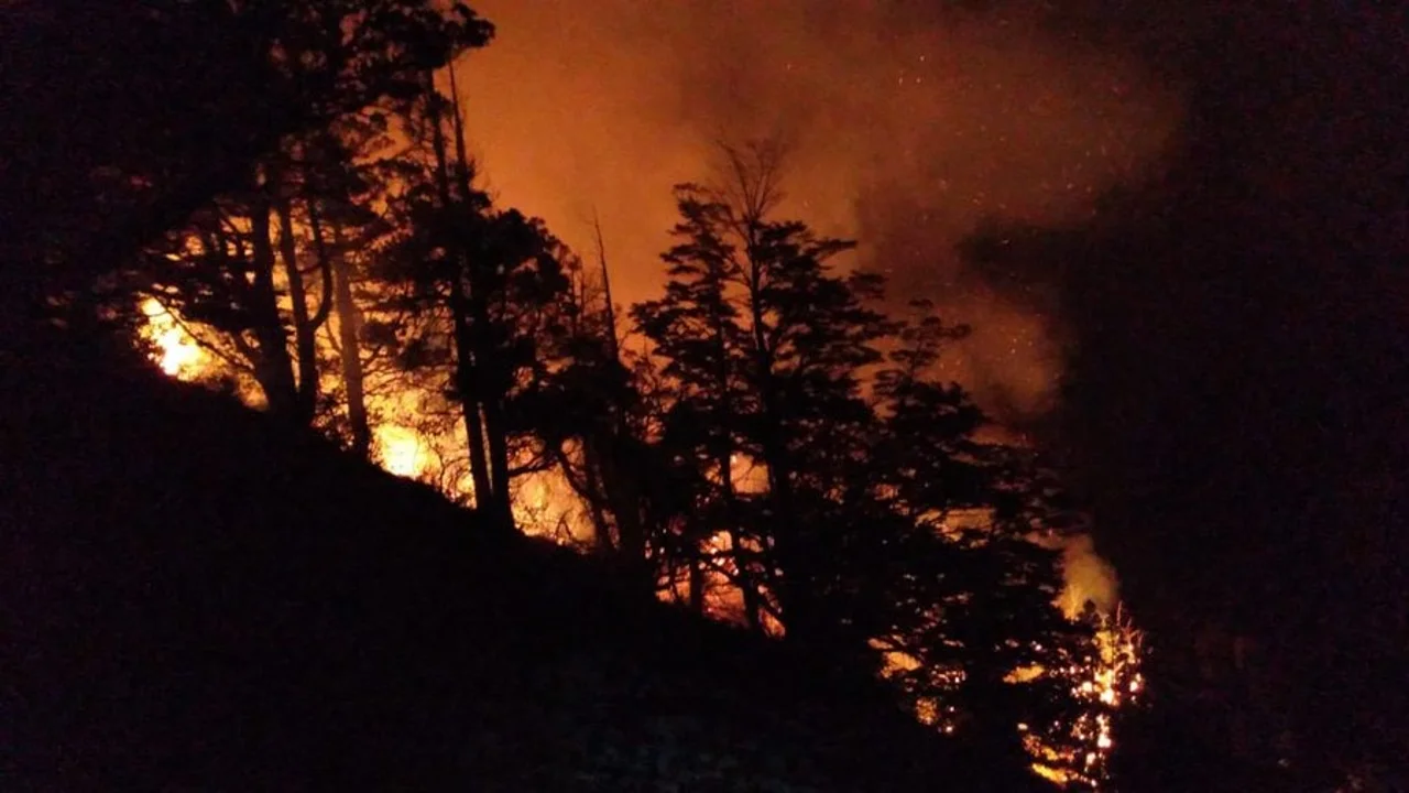 incendio los alerces 40
