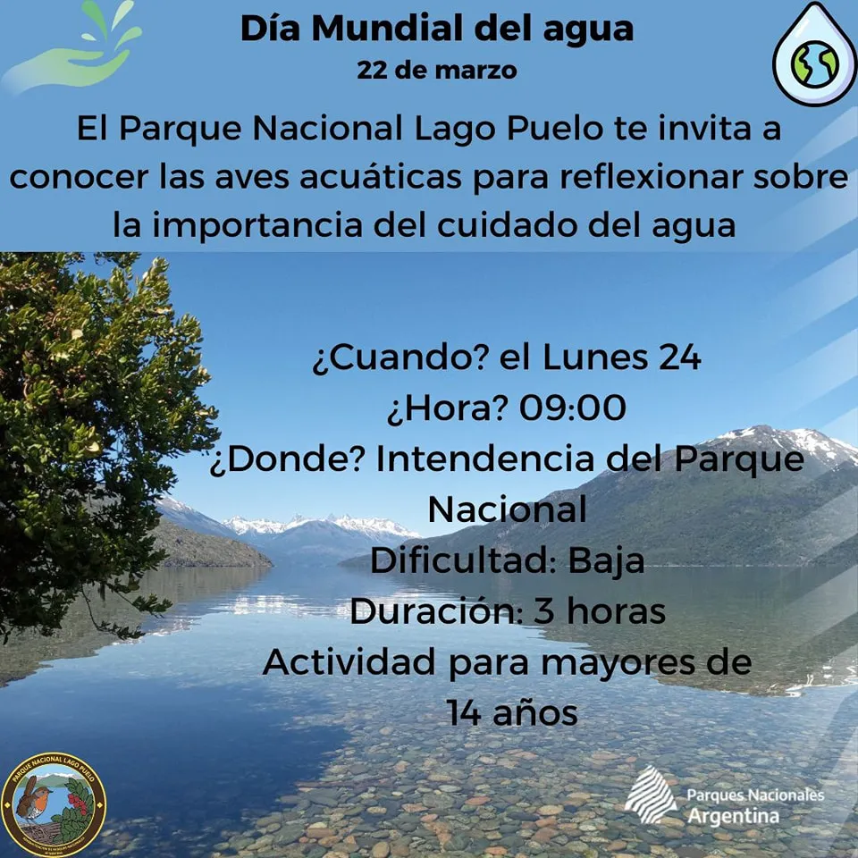 dia del agua