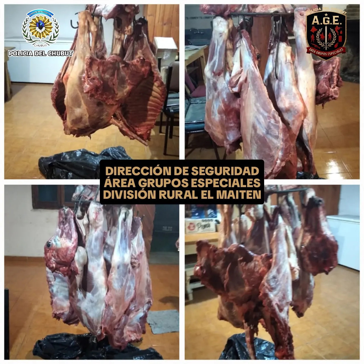 carne el maiten 2