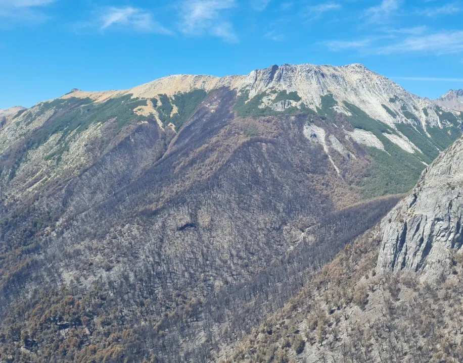 incendio brazo tristeza 23