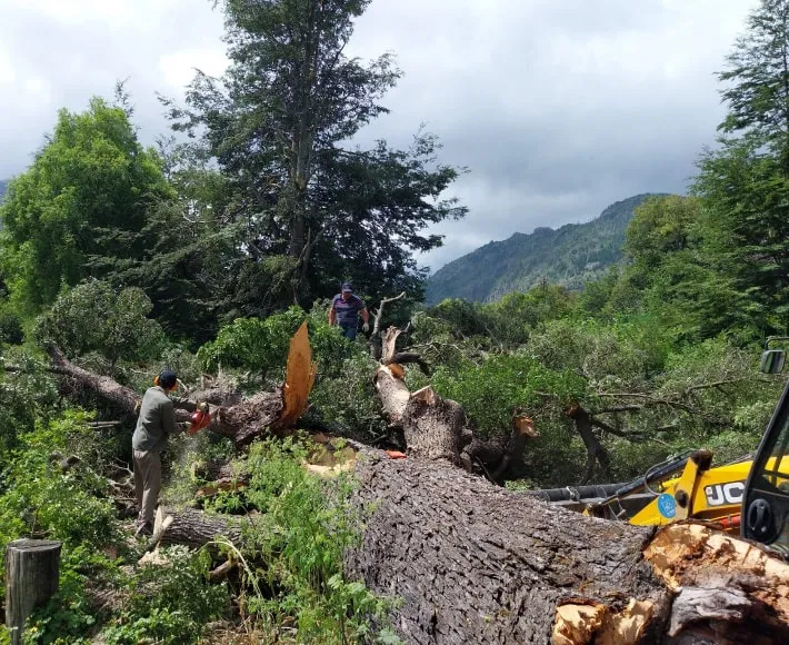 desemboque 1