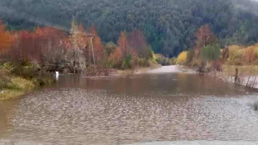 1775744019_dd975f34504215e6f21a