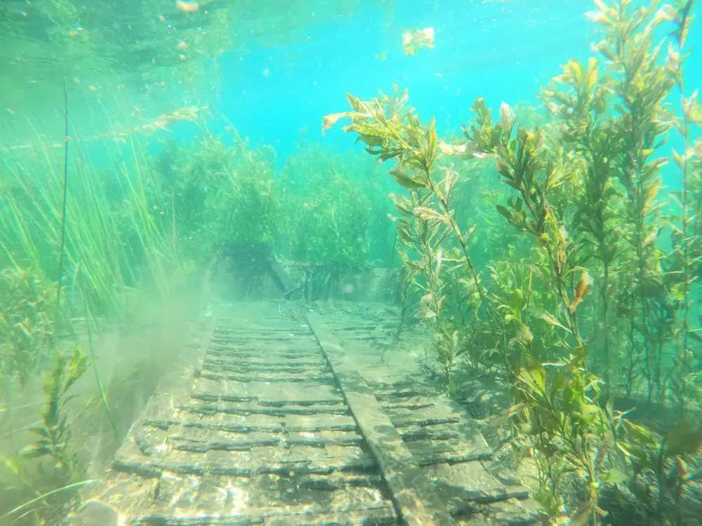 WhatsApp Image 2026-03-12 at 14.54.50