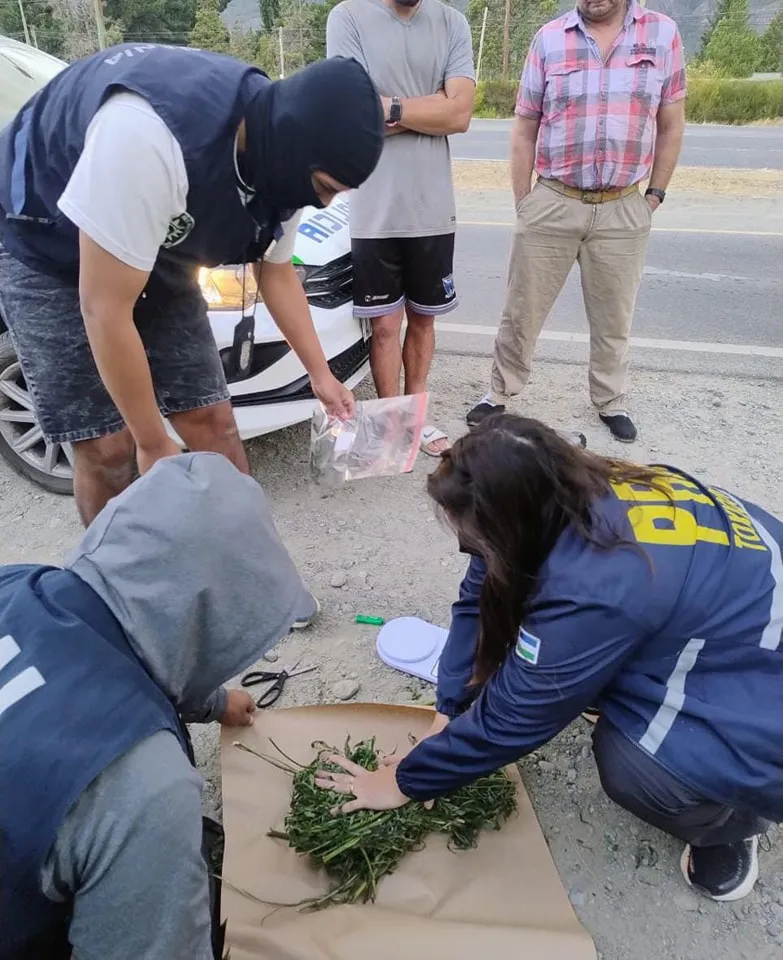 policia estupef