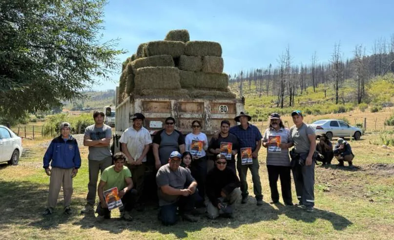 WhatsApp Image 2026-02-10 at 10.18.09 (1)