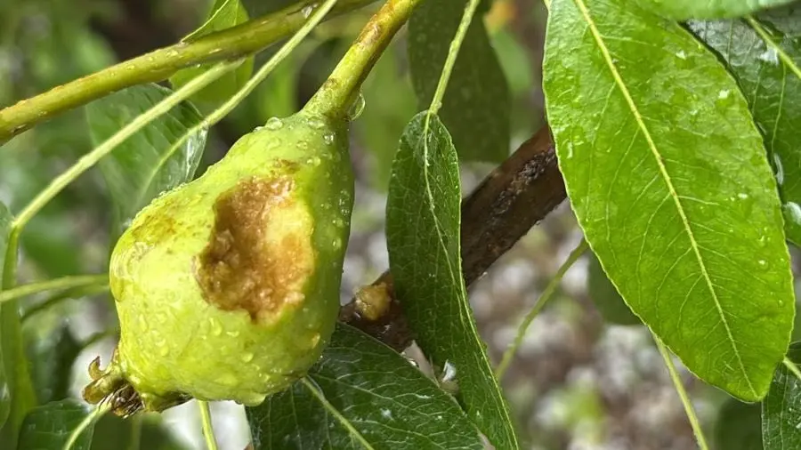 1762862692_bc6c9abf3eef1984da7b