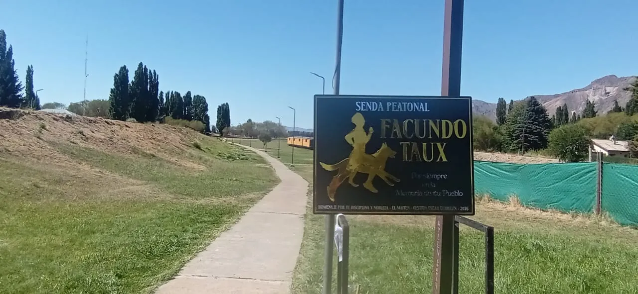 WhatsApp Image 2026-02-07 at 19.51.48