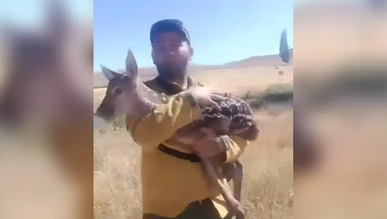 incendio-junin-los-andes-brigadistas-rescataron-un-ciervo