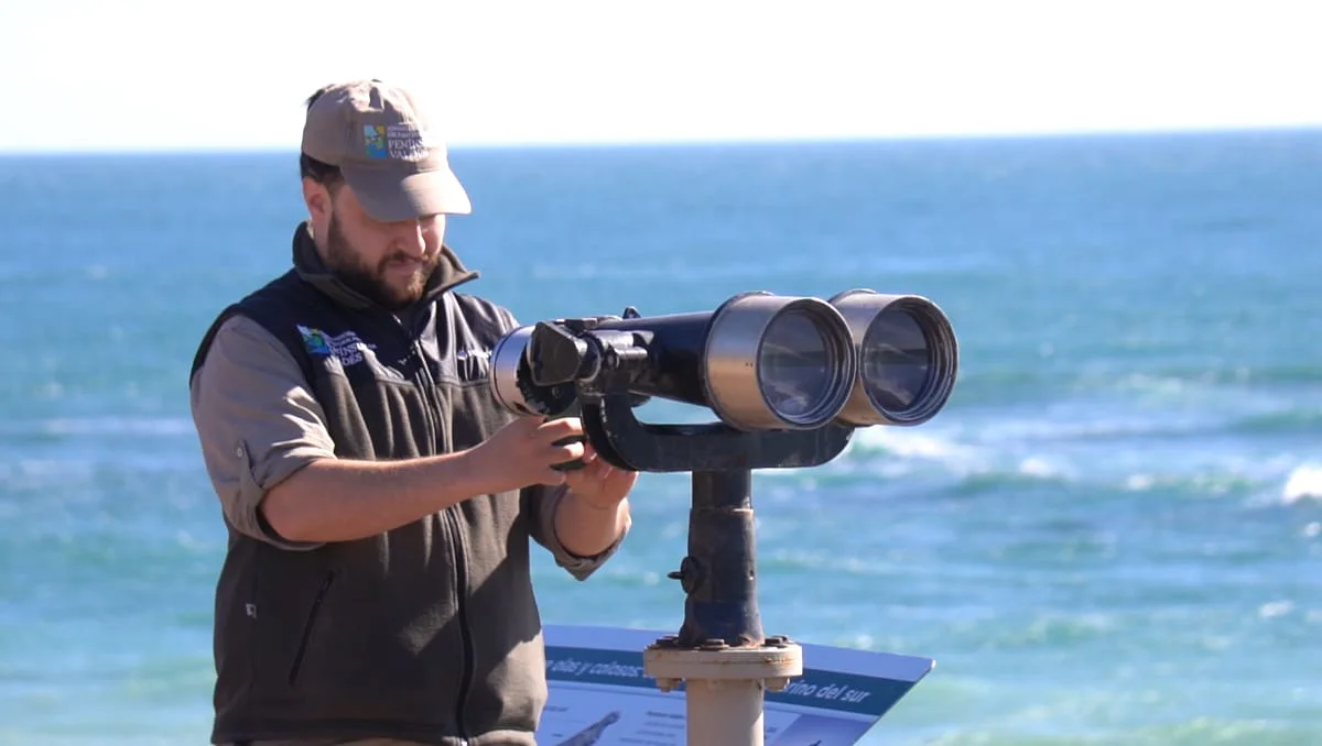 78abeb4d-99c2-4a91-9d97-309eb89aa9e3