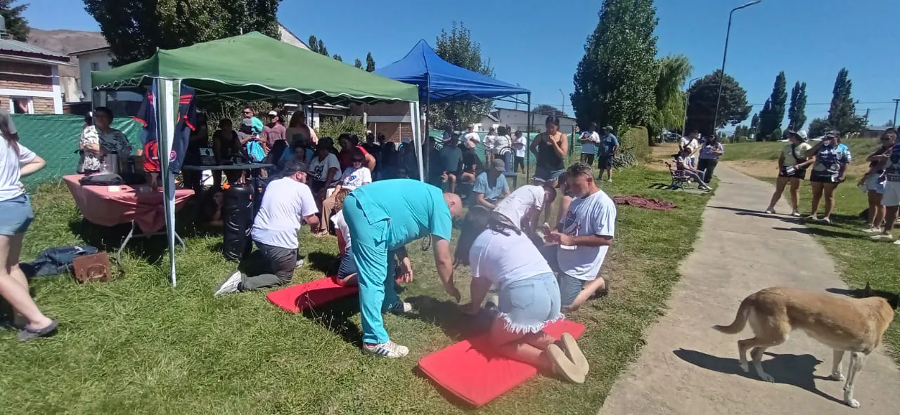 WhatsApp Image 2026-02-07 at 19.51.49