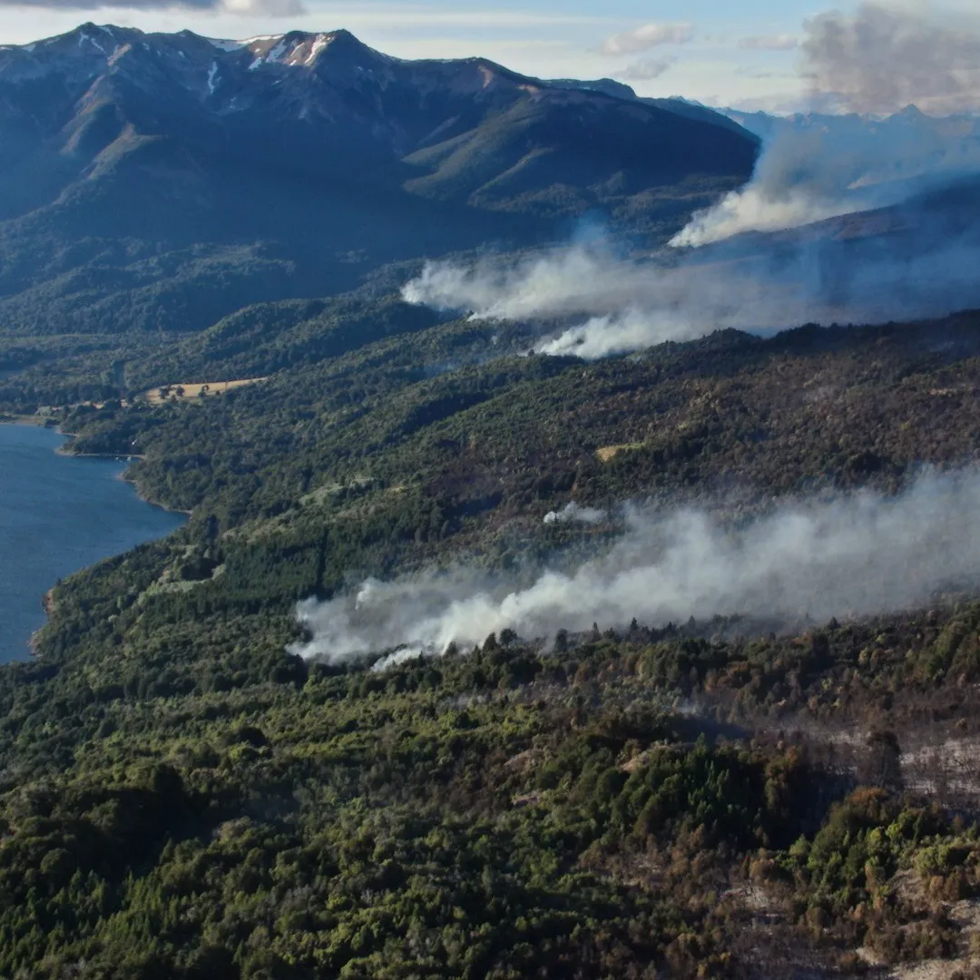incendio los alerces 20