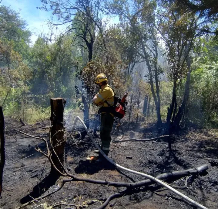 incendio saturnino 2