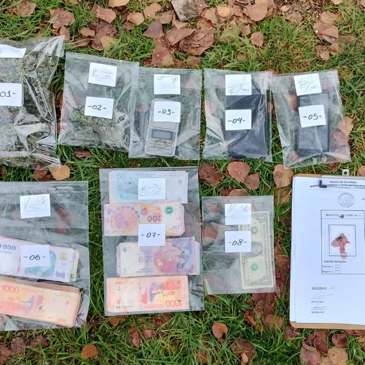 operativo marihuana 2