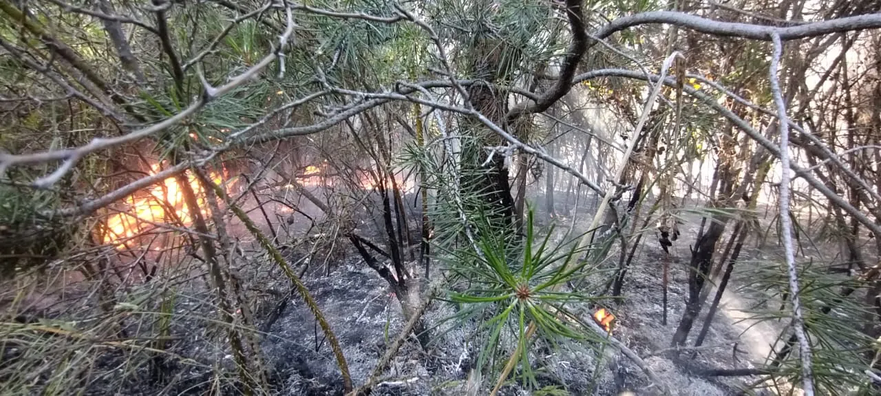 incendio aerodromo 9 dic