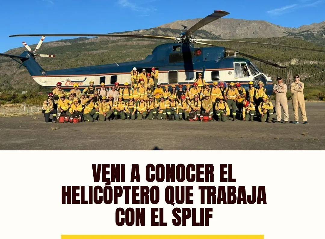 c10107f7-d5b4-4e14-adce-eee30222be26