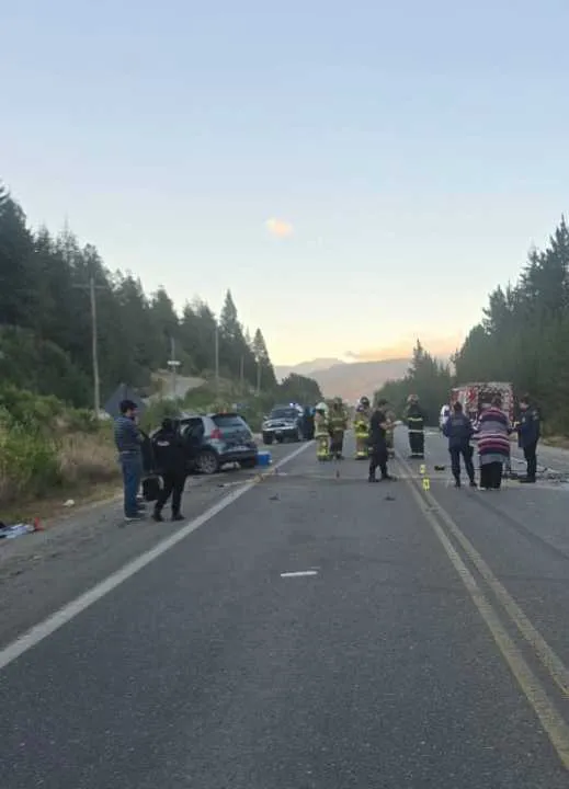 LAGO_PUELO_Accidente_ENERO_2026_1